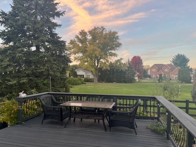 16W764 Hawthorne Court, Willowbrook, IL 60527