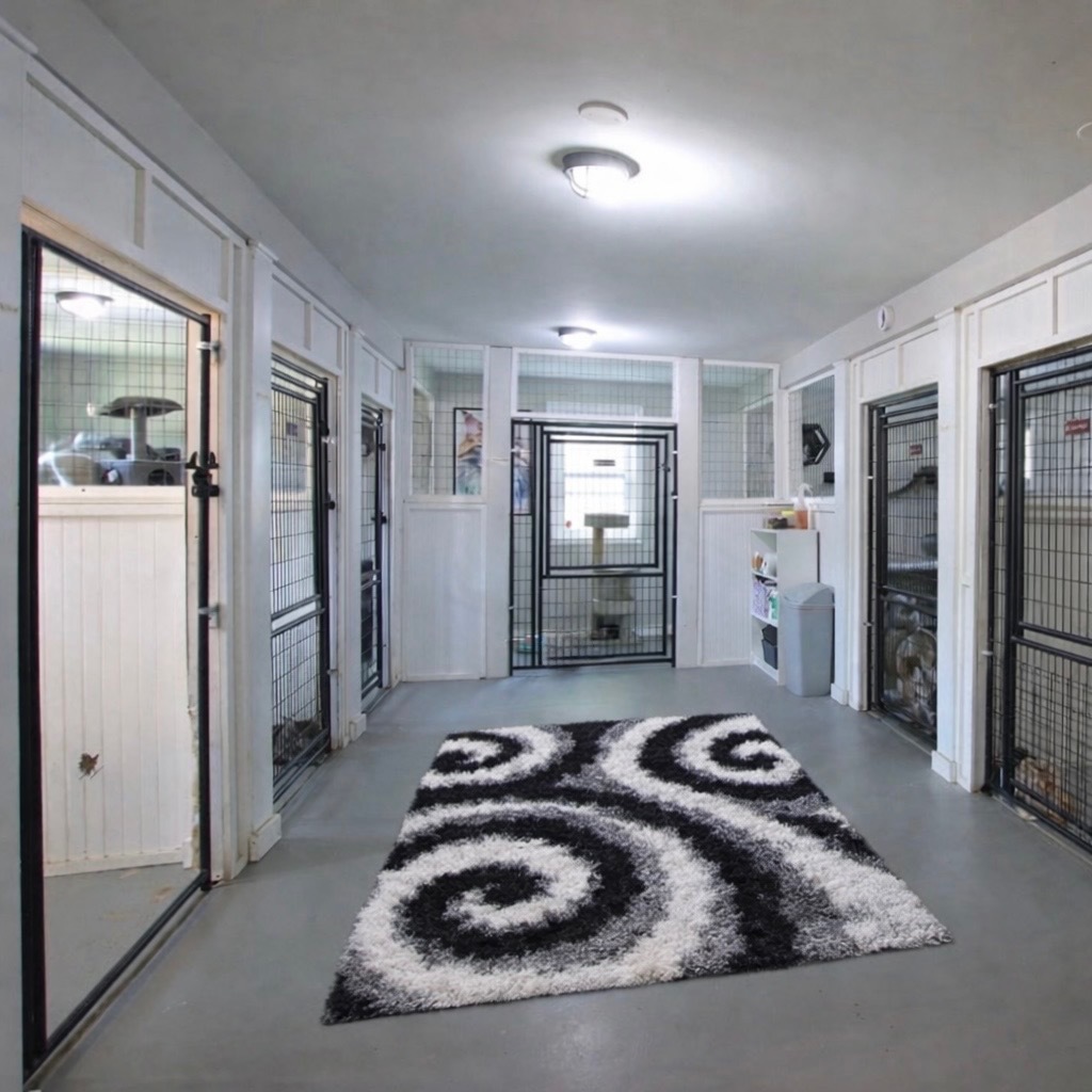 42W534 Empire Road, St. Charles, IL 60175