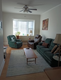 3612 S Emerald Avenue #1F, Chicago, IL 60616