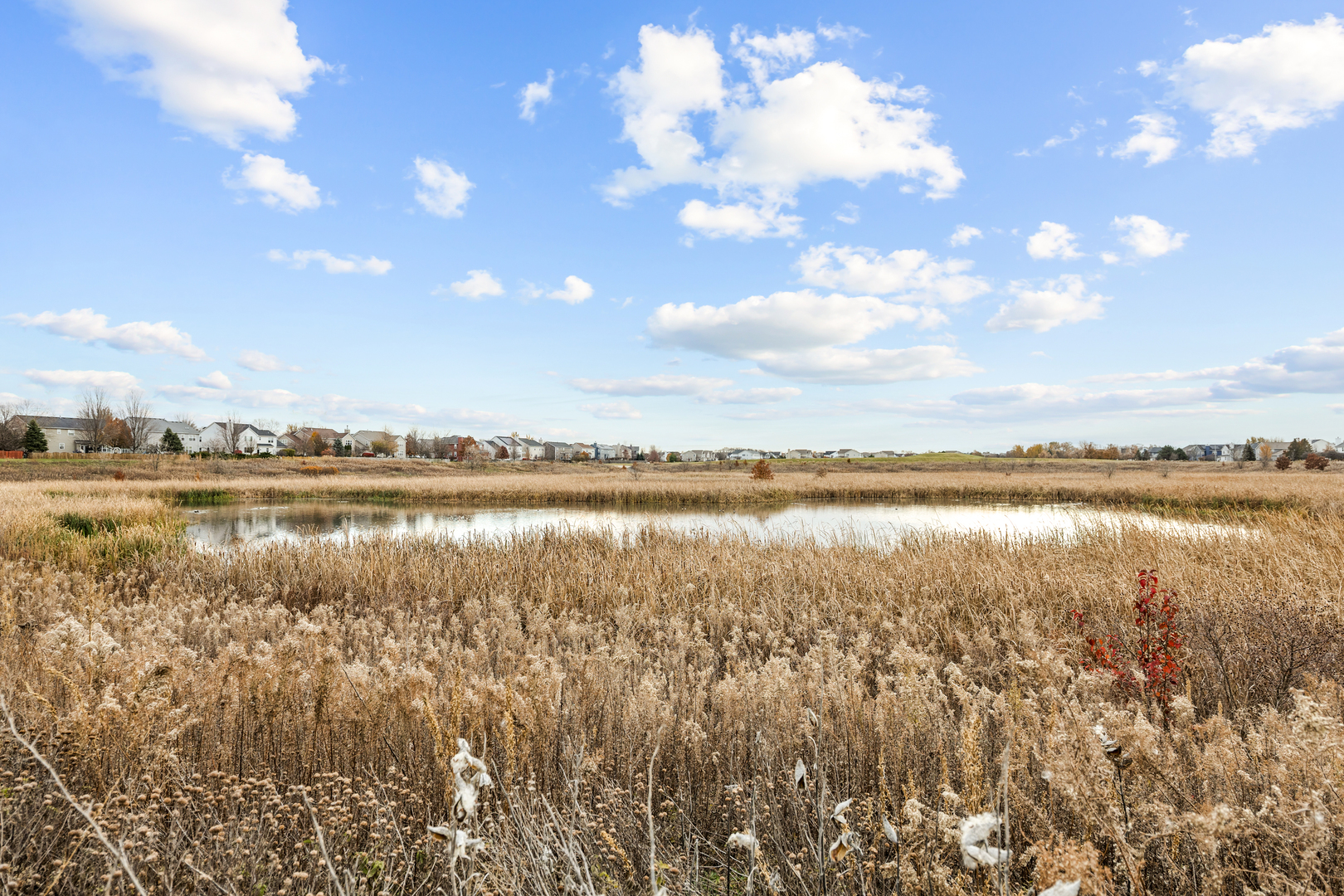 786 Bohannon Circle, Oswego, IL 60543