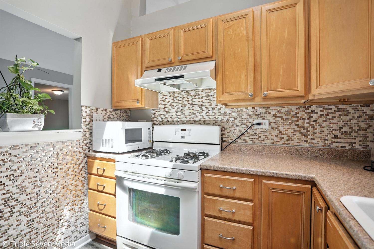 28629 W Ravine Drive, Barrington, IL 60010