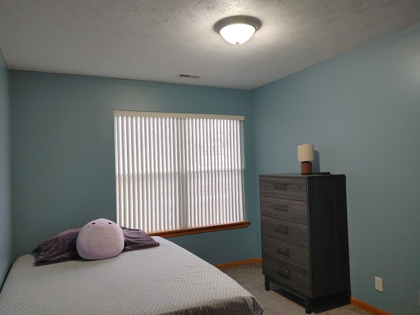 150 N Wooster Street #9, Capron, IL 61012