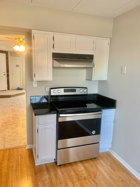 1508 W Jefferson Avenue #D, Naperville, IL 60540