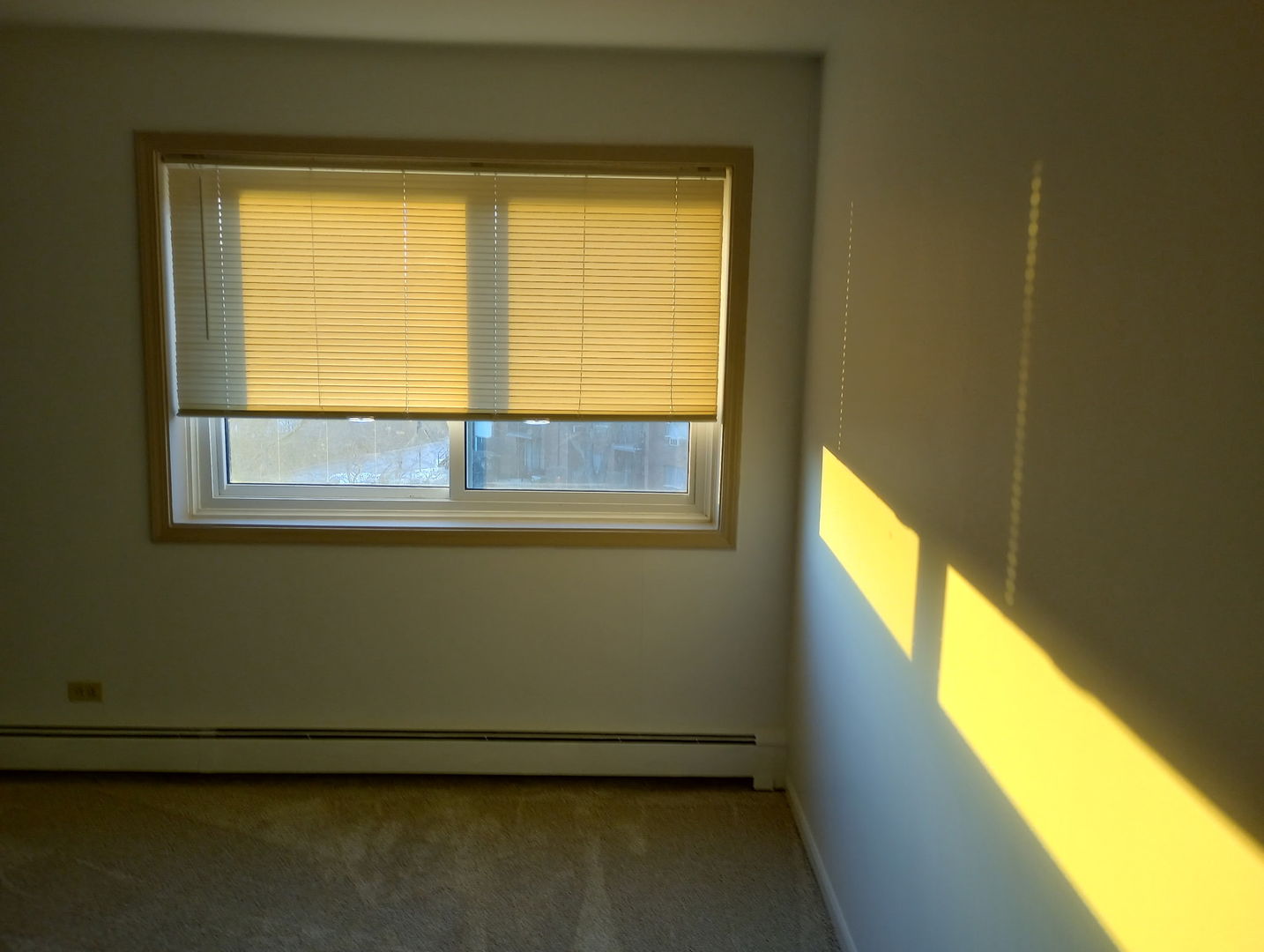 4731 Saint Joseph Creek Road #4E, Lisle, IL 60532