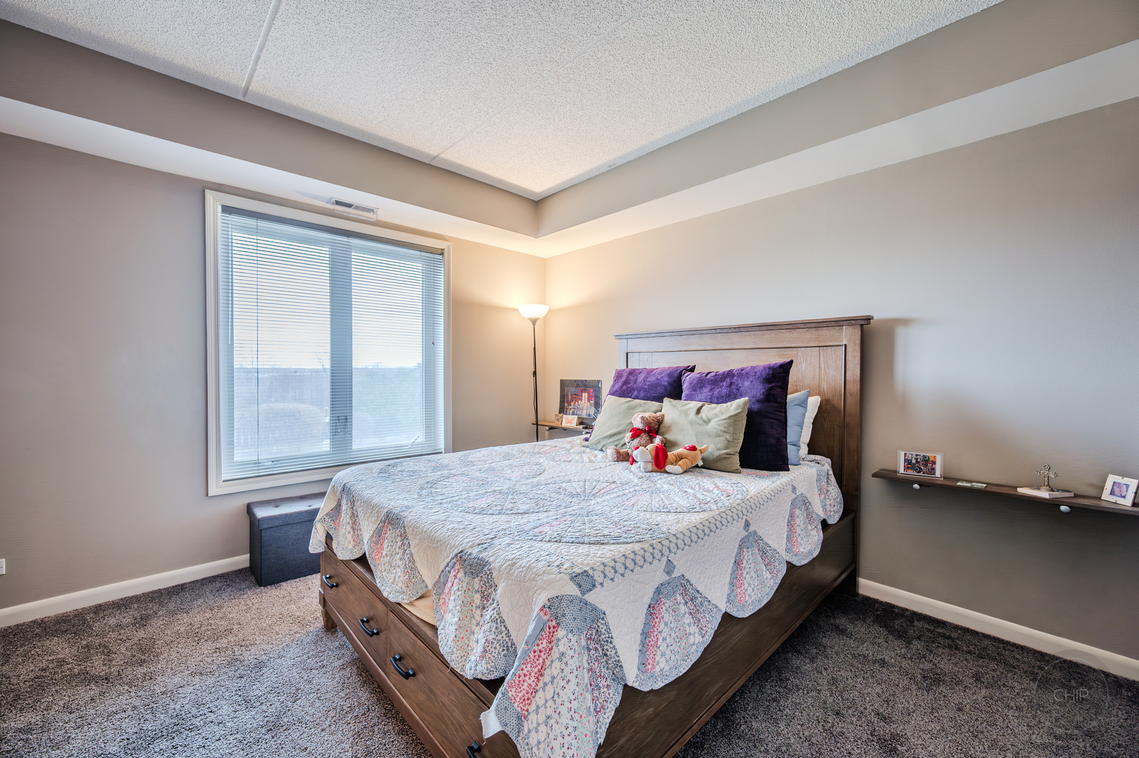 12900 W Heiden Circle #4204, Lake Bluff, IL 60044