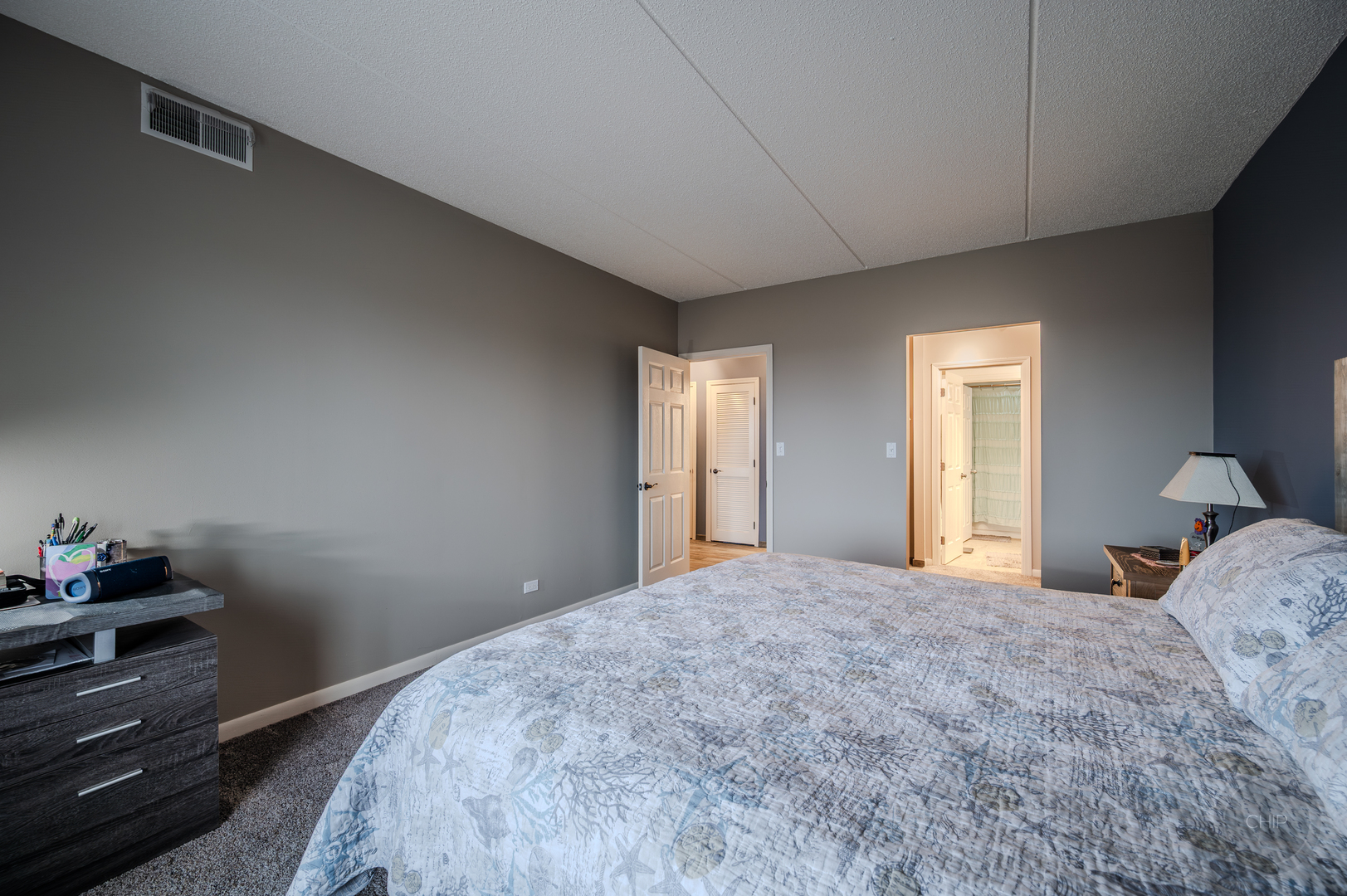 12900 W Heiden Circle #4204, Lake Bluff, IL 60044