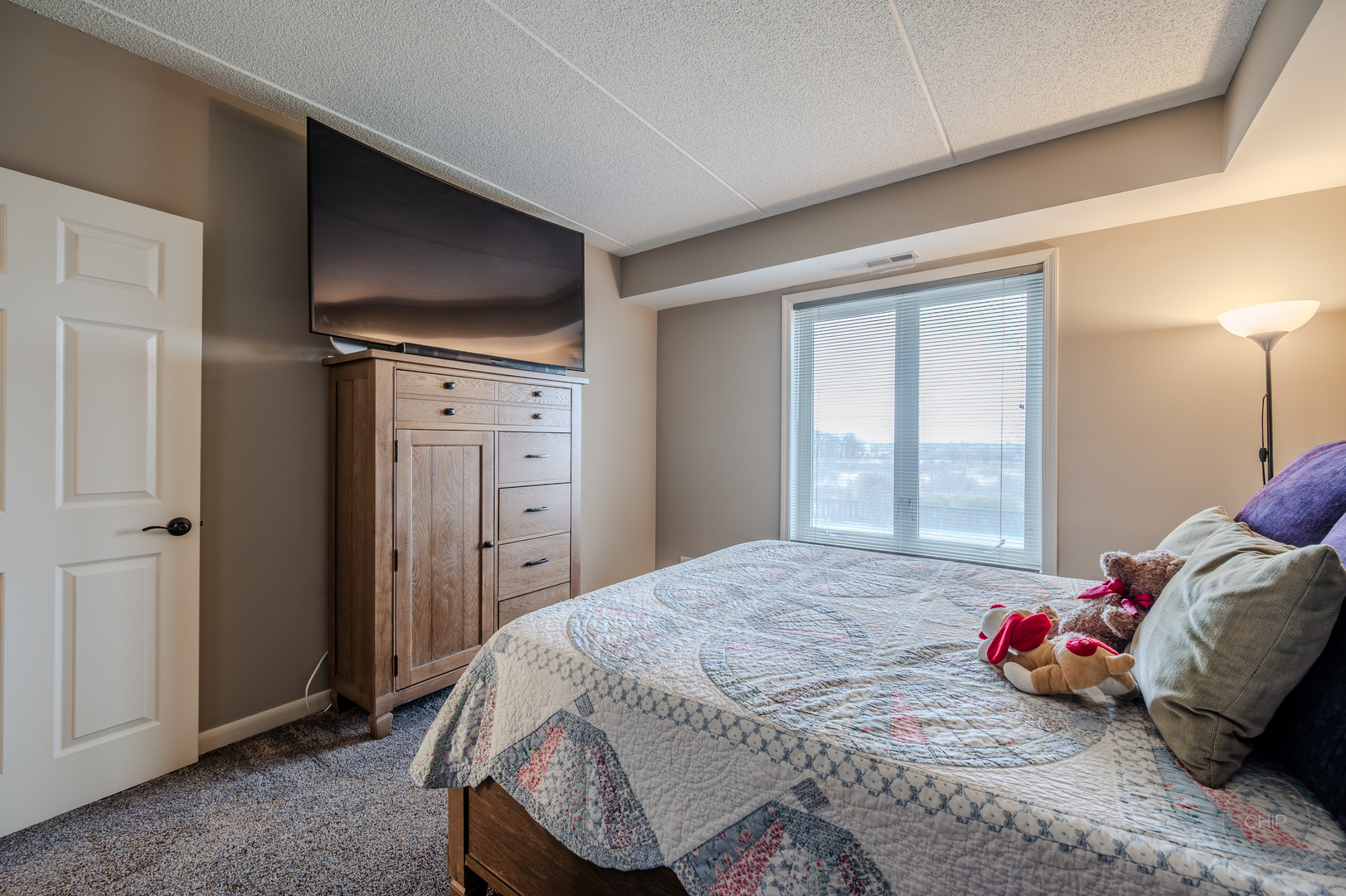 12900 W Heiden Circle #4204, Lake Bluff, IL 60044