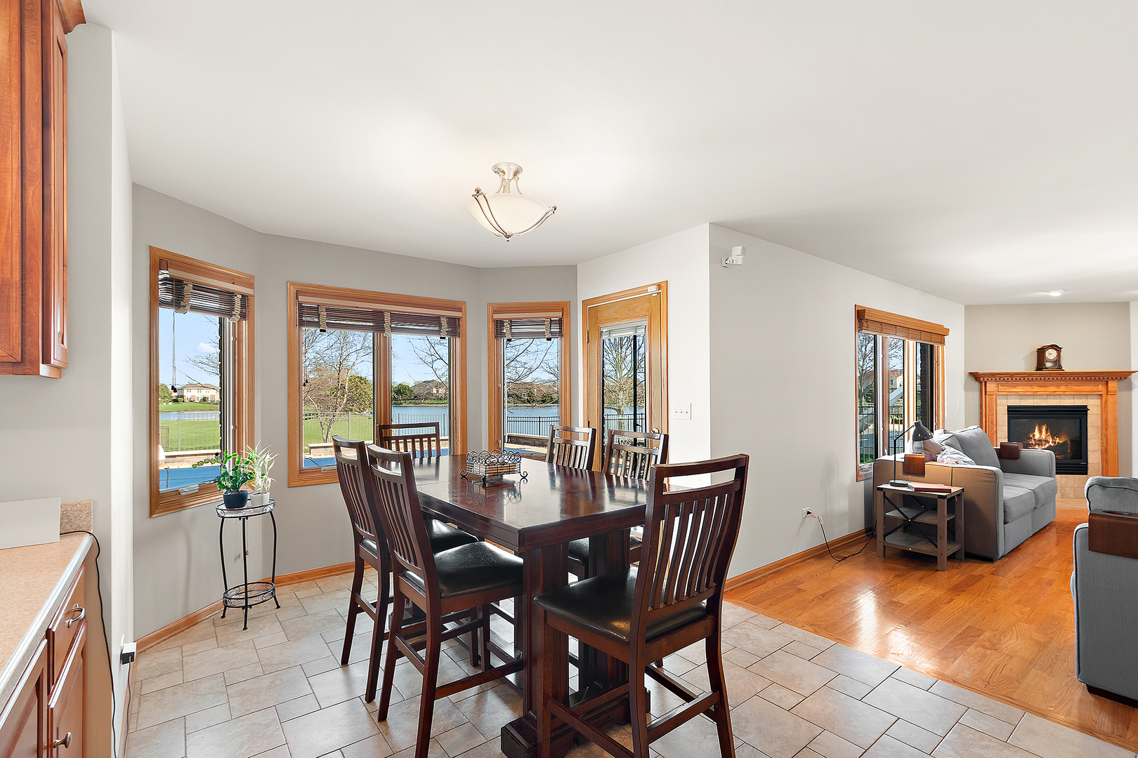 785 Stacey Drive, New Lenox, IL 60451