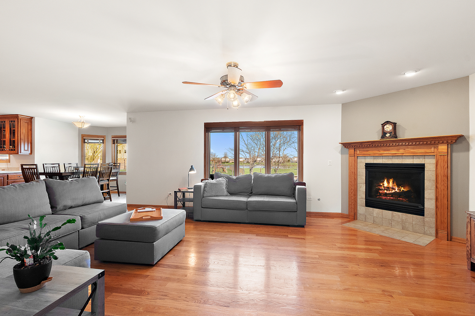 785 Stacey Drive, New Lenox, IL 60451