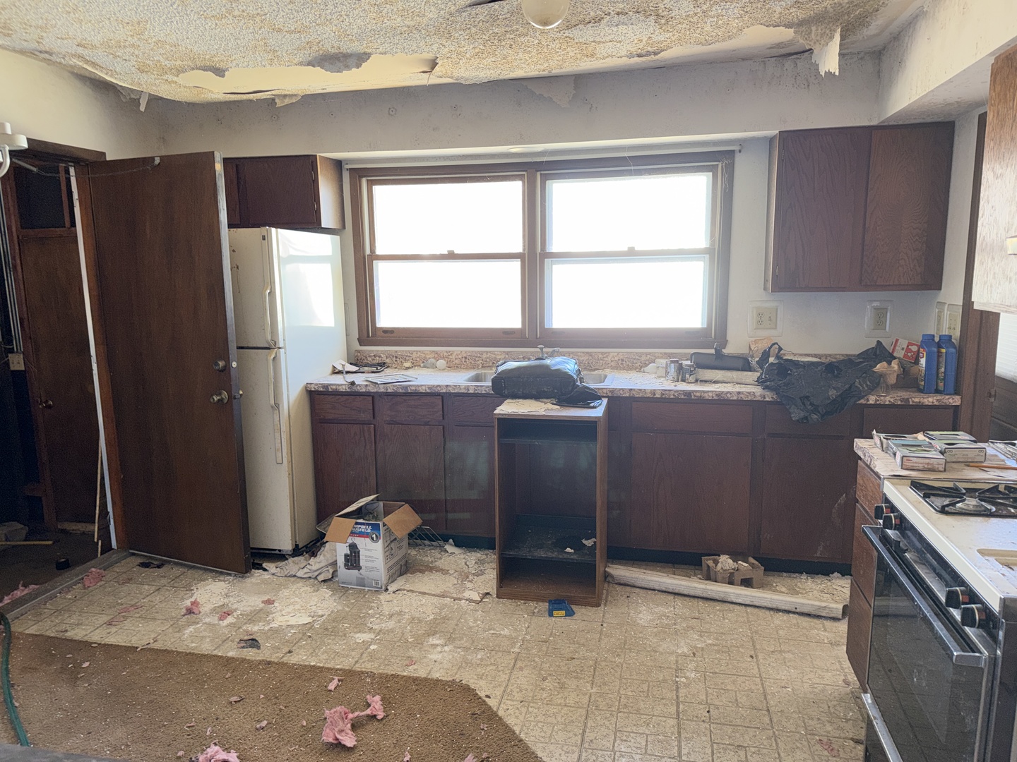 509 N Park Avenue, Aurora, IL 60506