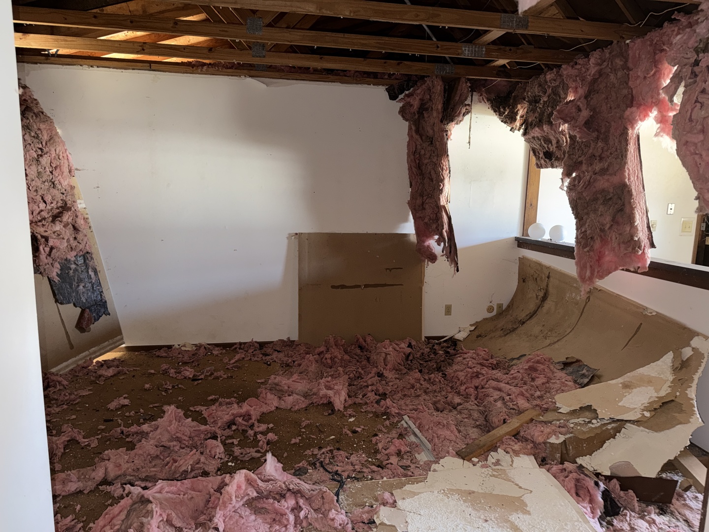 509 N Park Avenue, Aurora, IL 60506