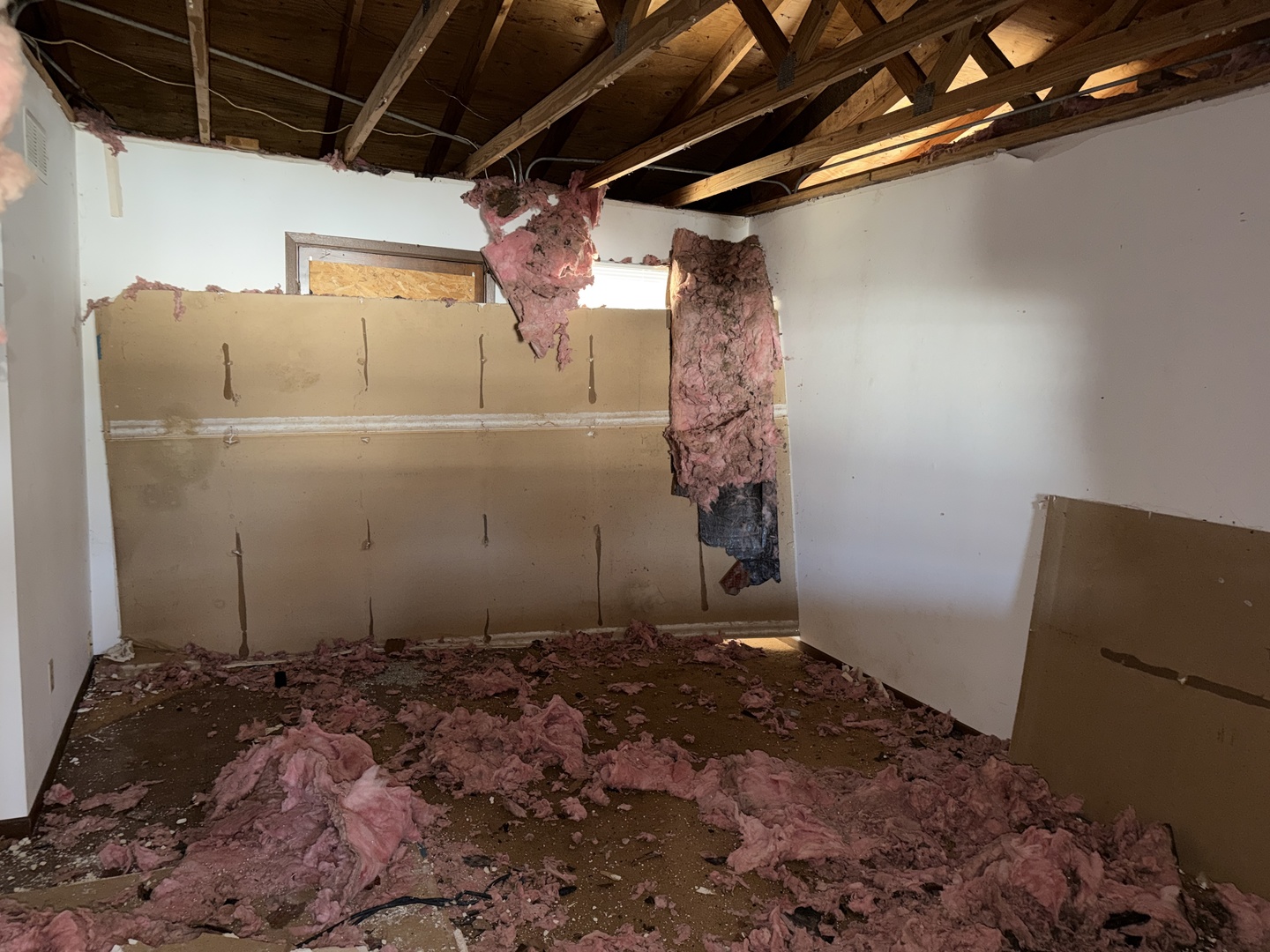 509 N Park Avenue, Aurora, IL 60506