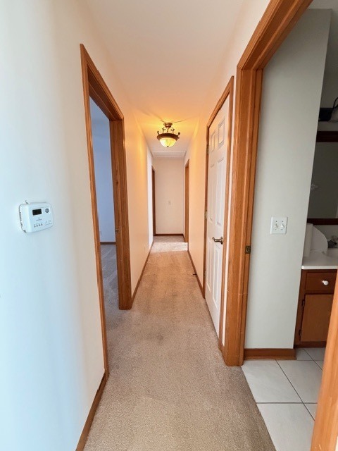 517 E Conley Drive, Elburn, IL 60119