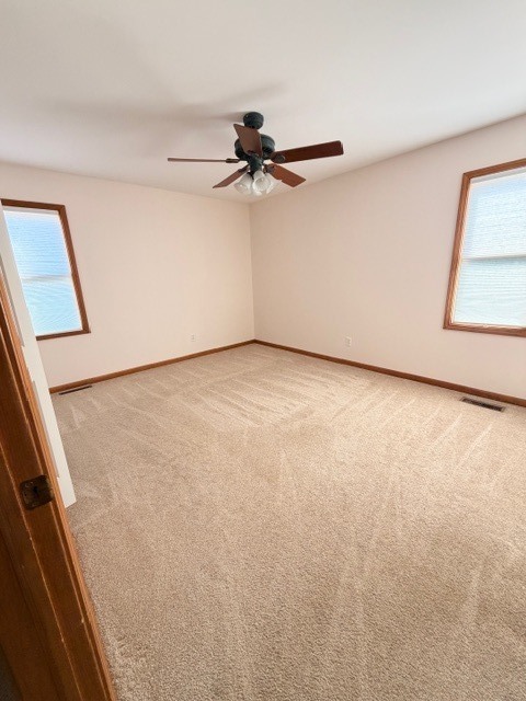 517 E Conley Drive, Elburn, IL 60119