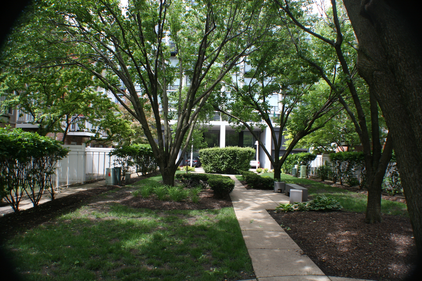 61 W 15th Street #213, Chicago, IL 60605