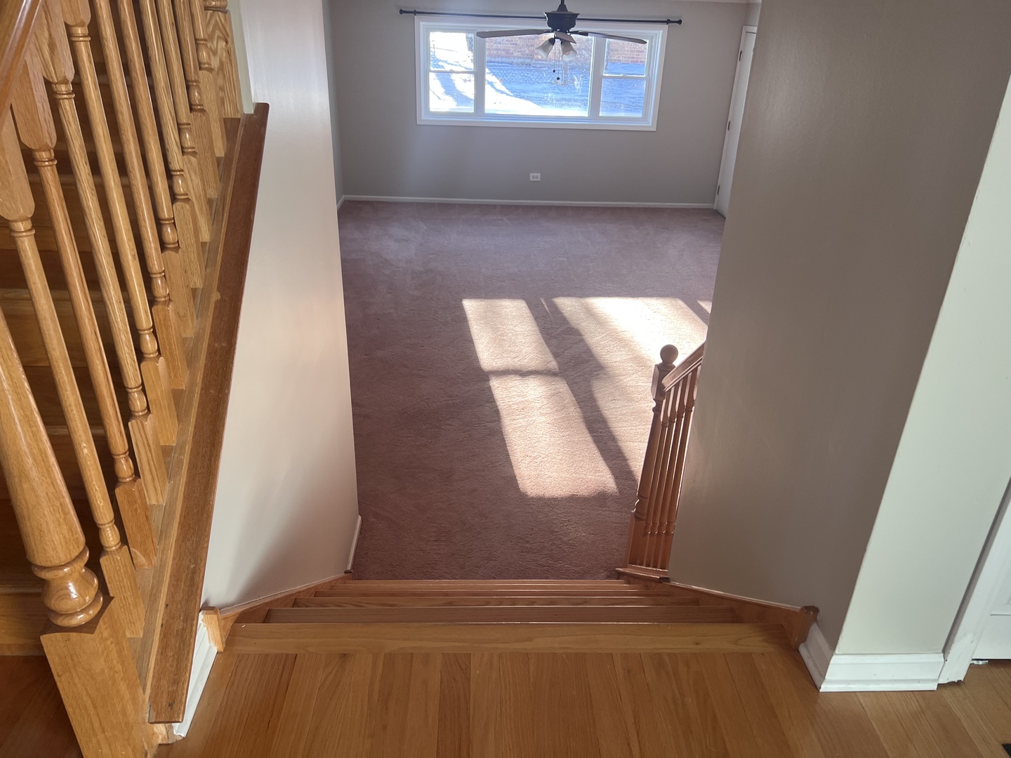 7213 Bateman Street, Downers Grove, IL 60516