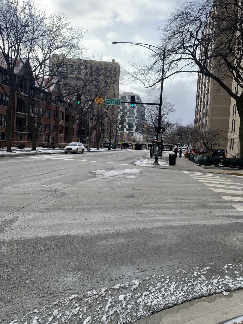 5050 S East End Avenue #1E, Chicago, IL 60615