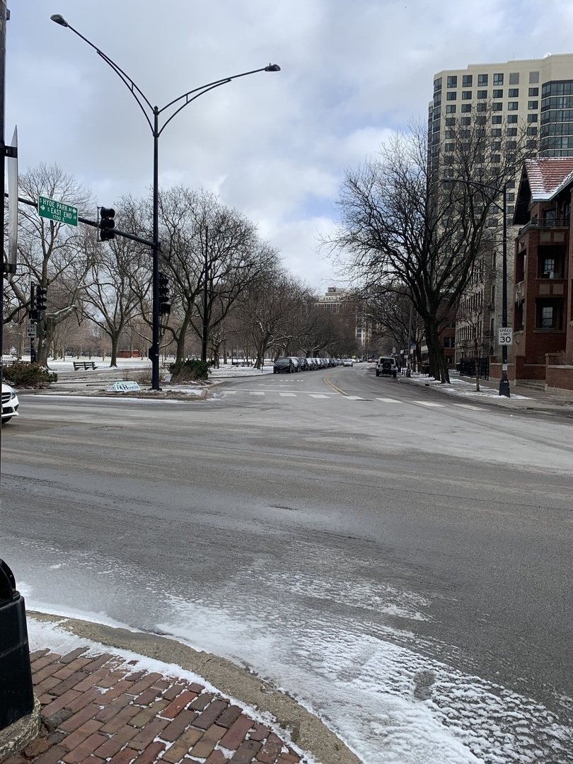 5050 S East End Avenue #1E, Chicago, IL 60615