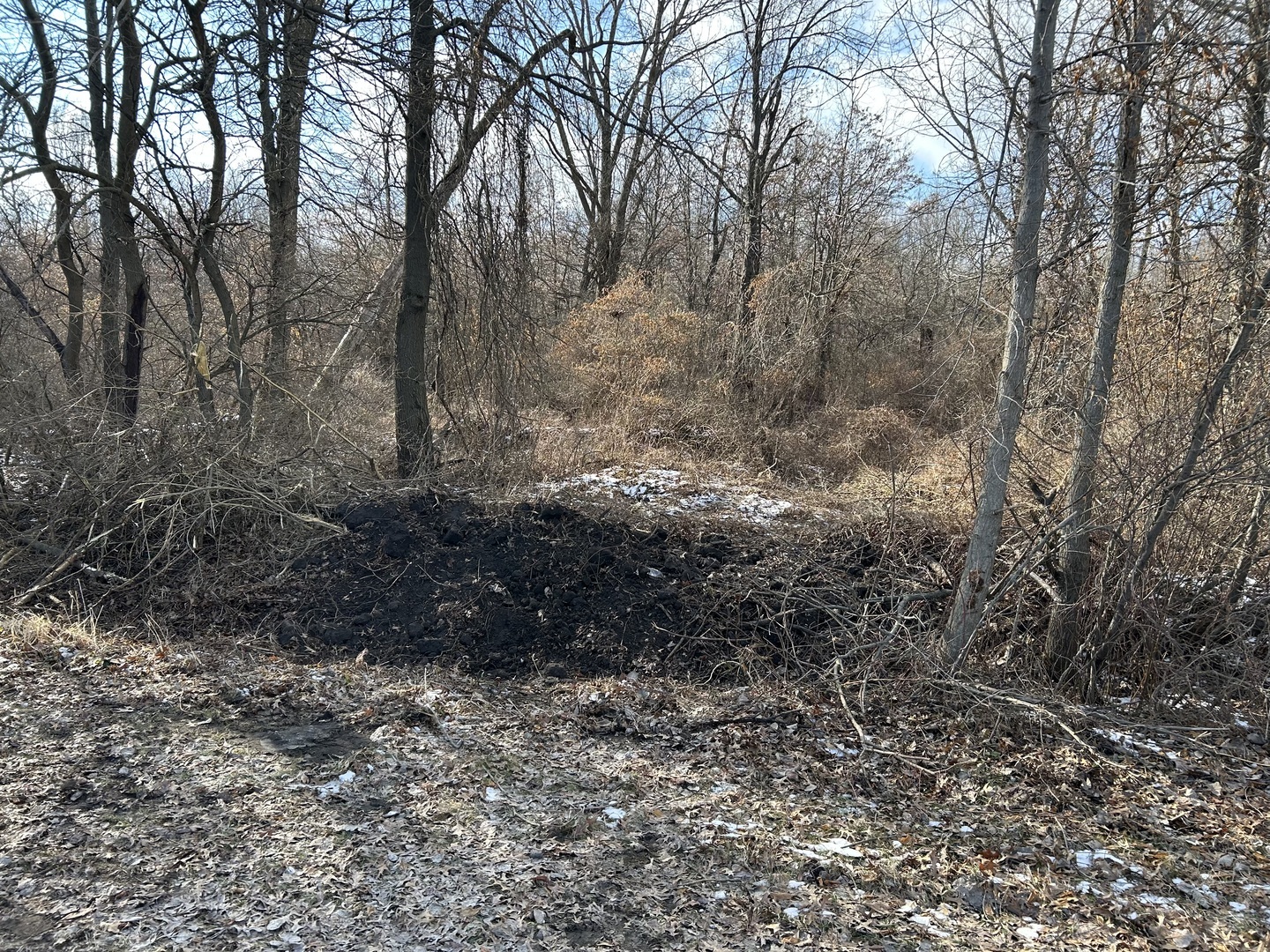 15001 15000 Road, Pembroke Twp, IL 60958