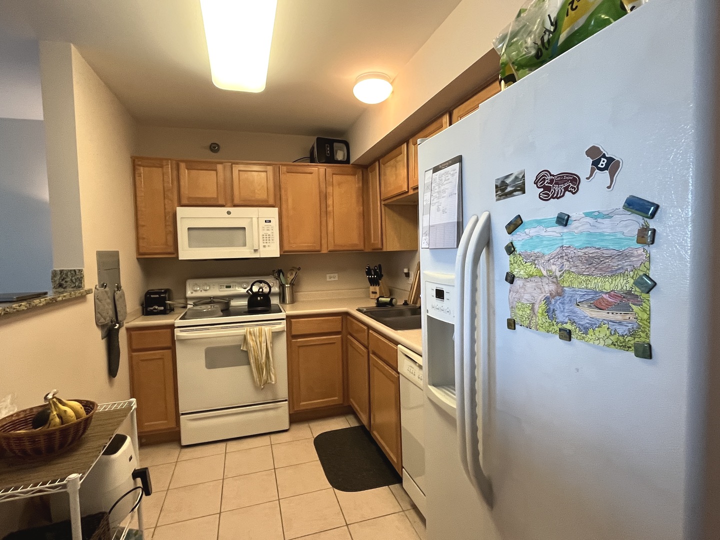 345 N Lasalle Drive #3109, Chicago, IL 60654