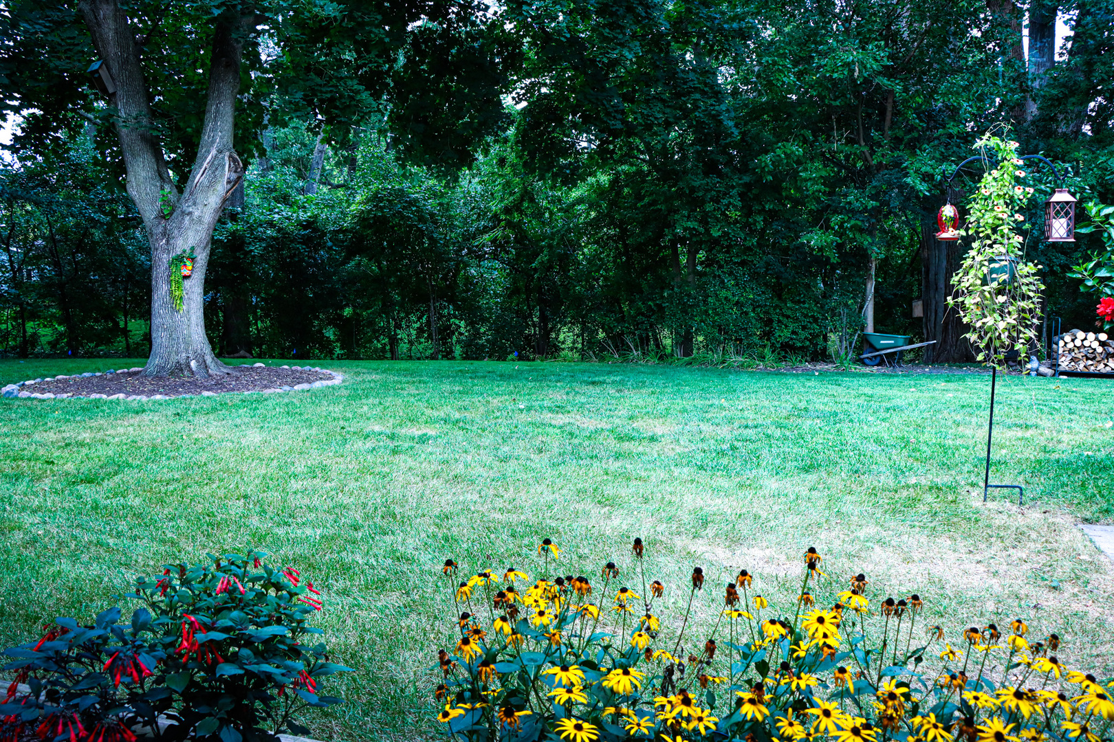 1920 N Washington Street, Wheaton, IL 60187