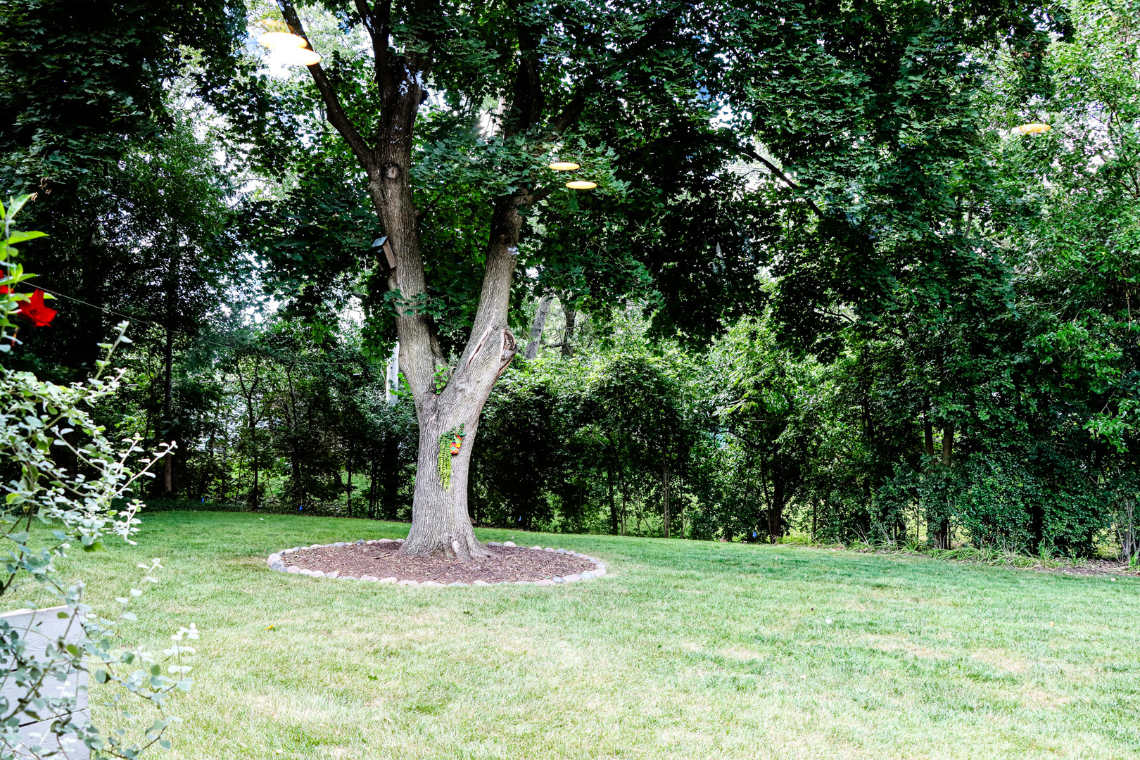 1920 N Washington Street, Wheaton, IL 60187