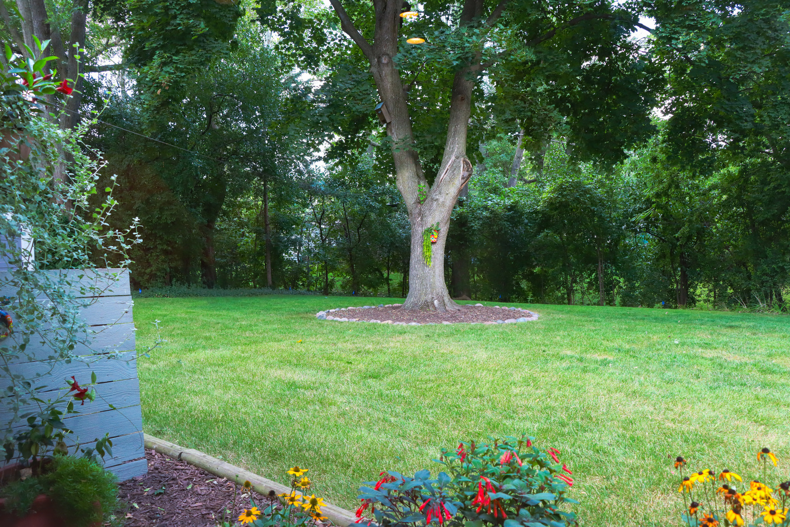 1920 N Washington Street, Wheaton, IL 60187