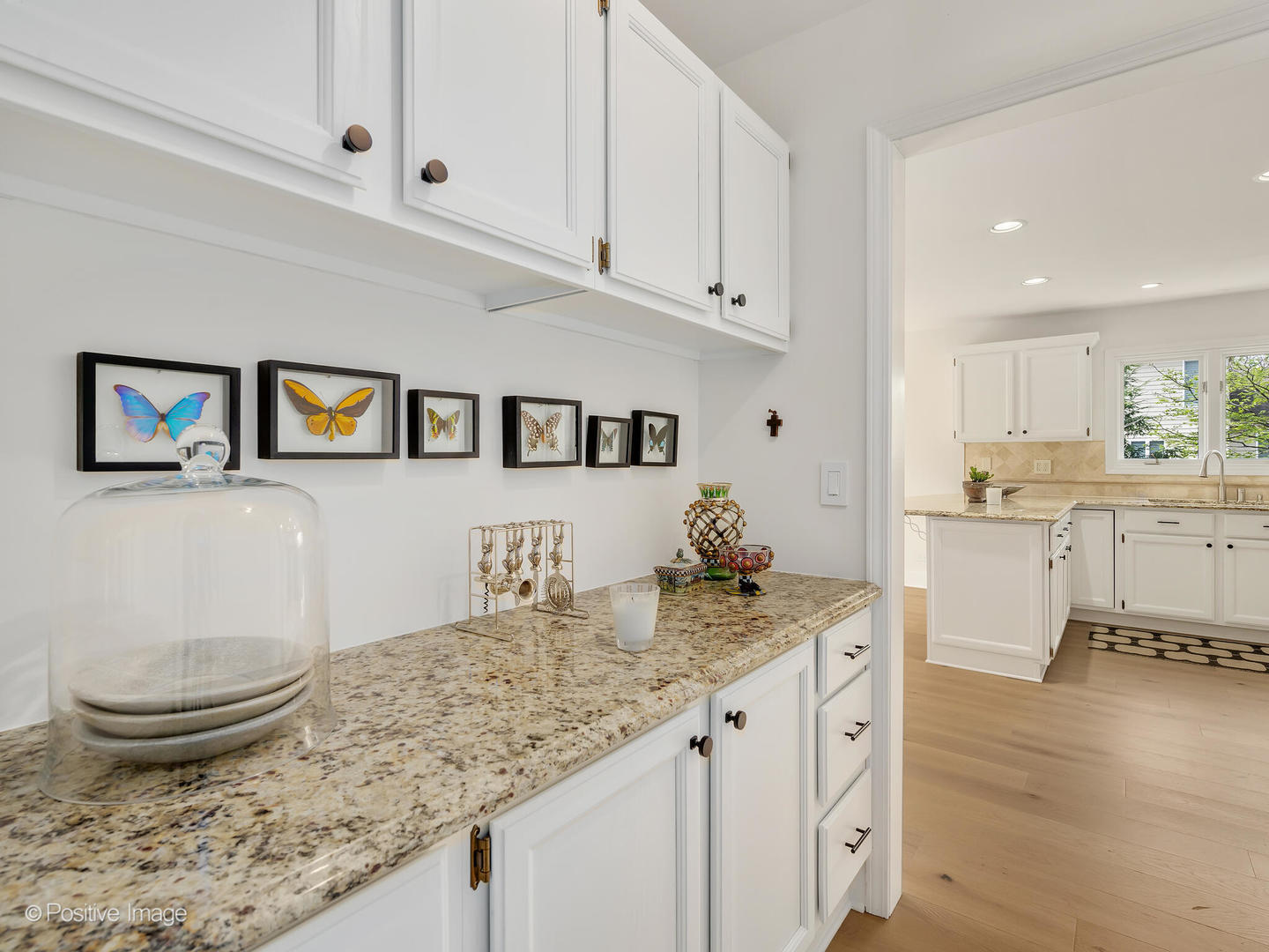 412 66th Street, Downers Grove, IL 60516