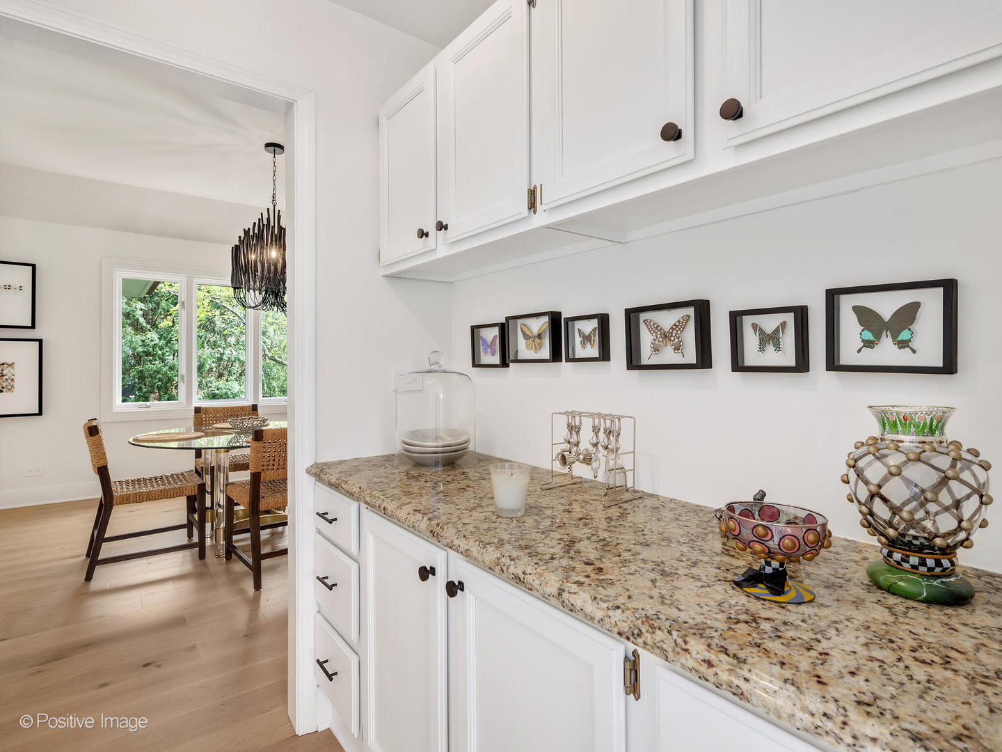 412 66th Street, Downers Grove, IL 60516