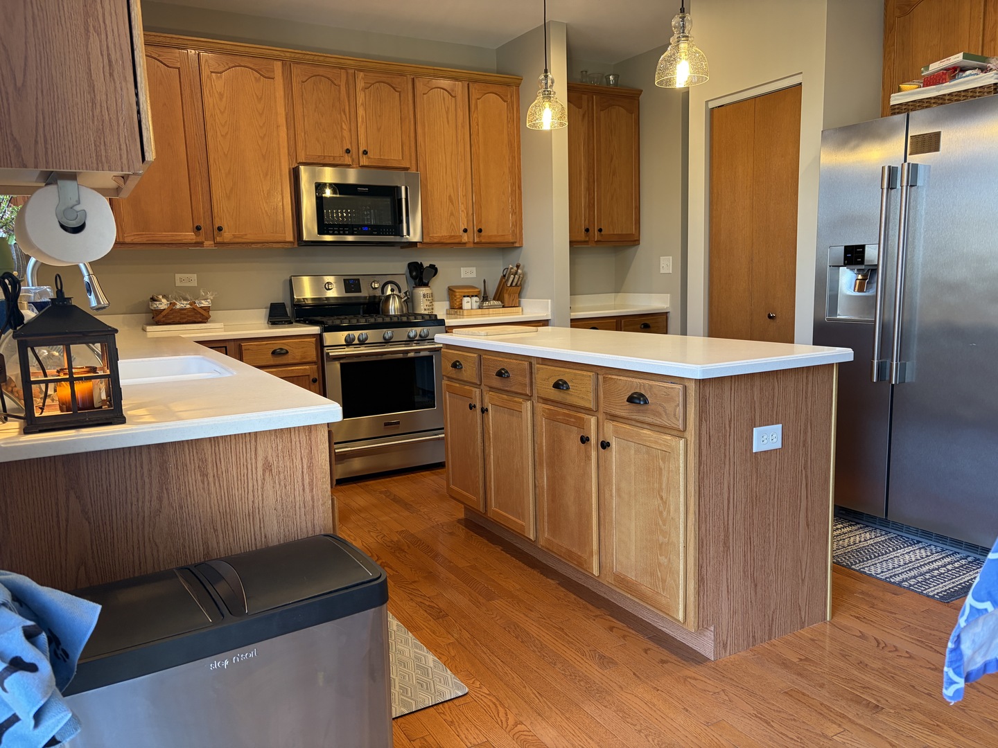 537 W Mara Lynn Court, Round Lake, IL 60073