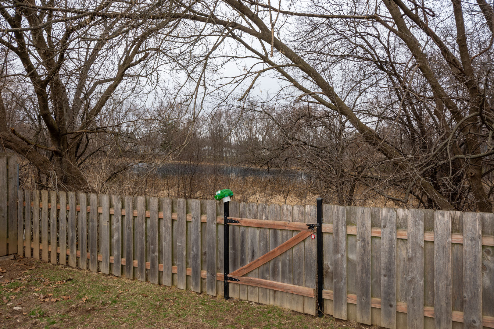 914 Wembley Drive, Island Lake, IL 60042