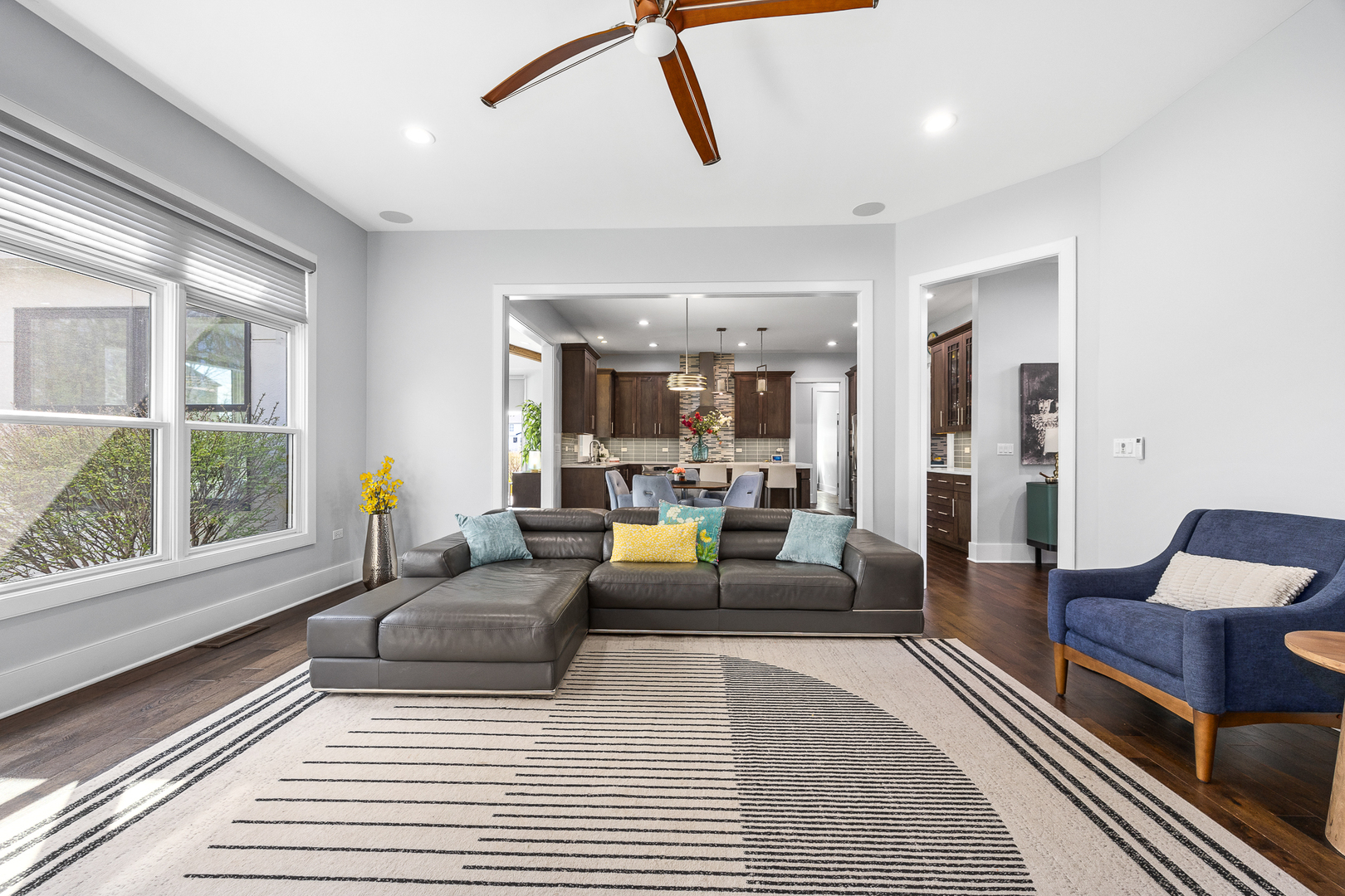 4328 Winterberry Avenue, Naperville, IL 60564