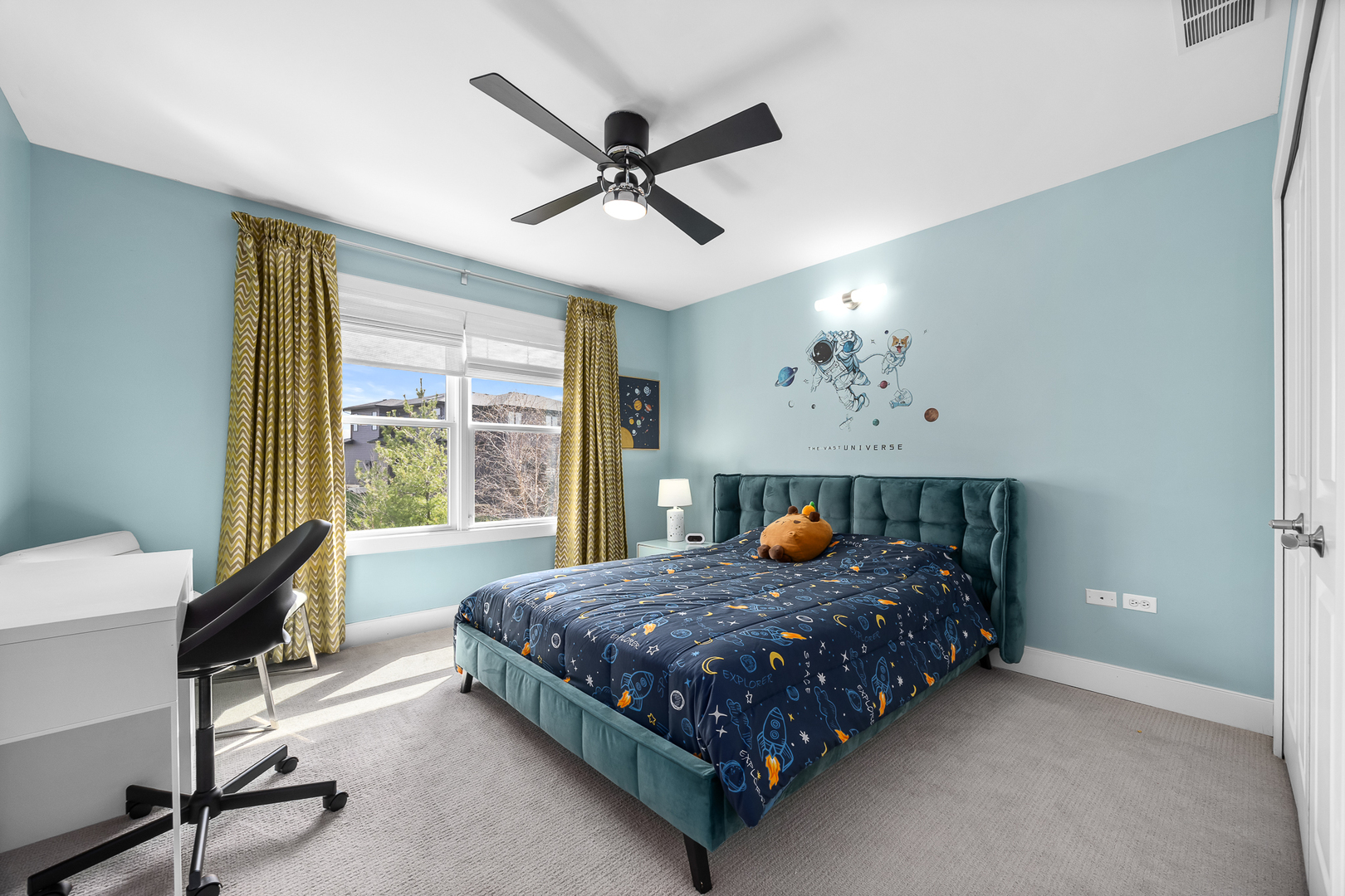 4328 Winterberry Avenue, Naperville, IL 60564