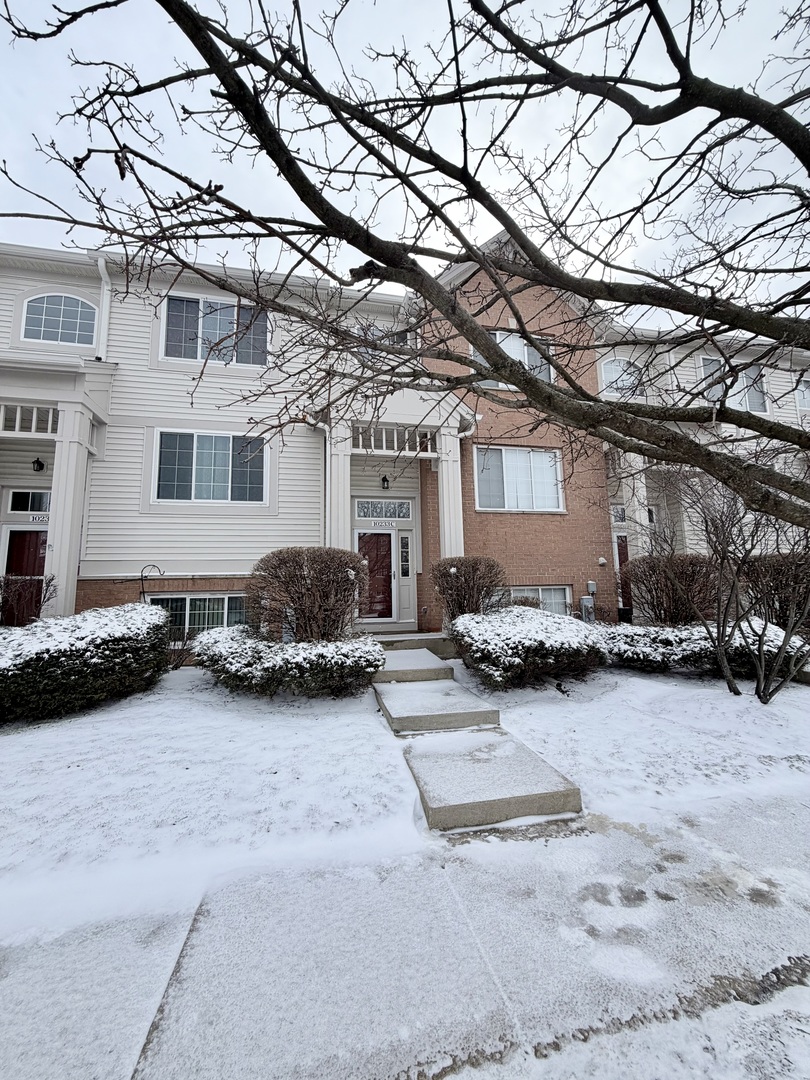 10233 Concord Lane #C, Bridgeview, IL 60455