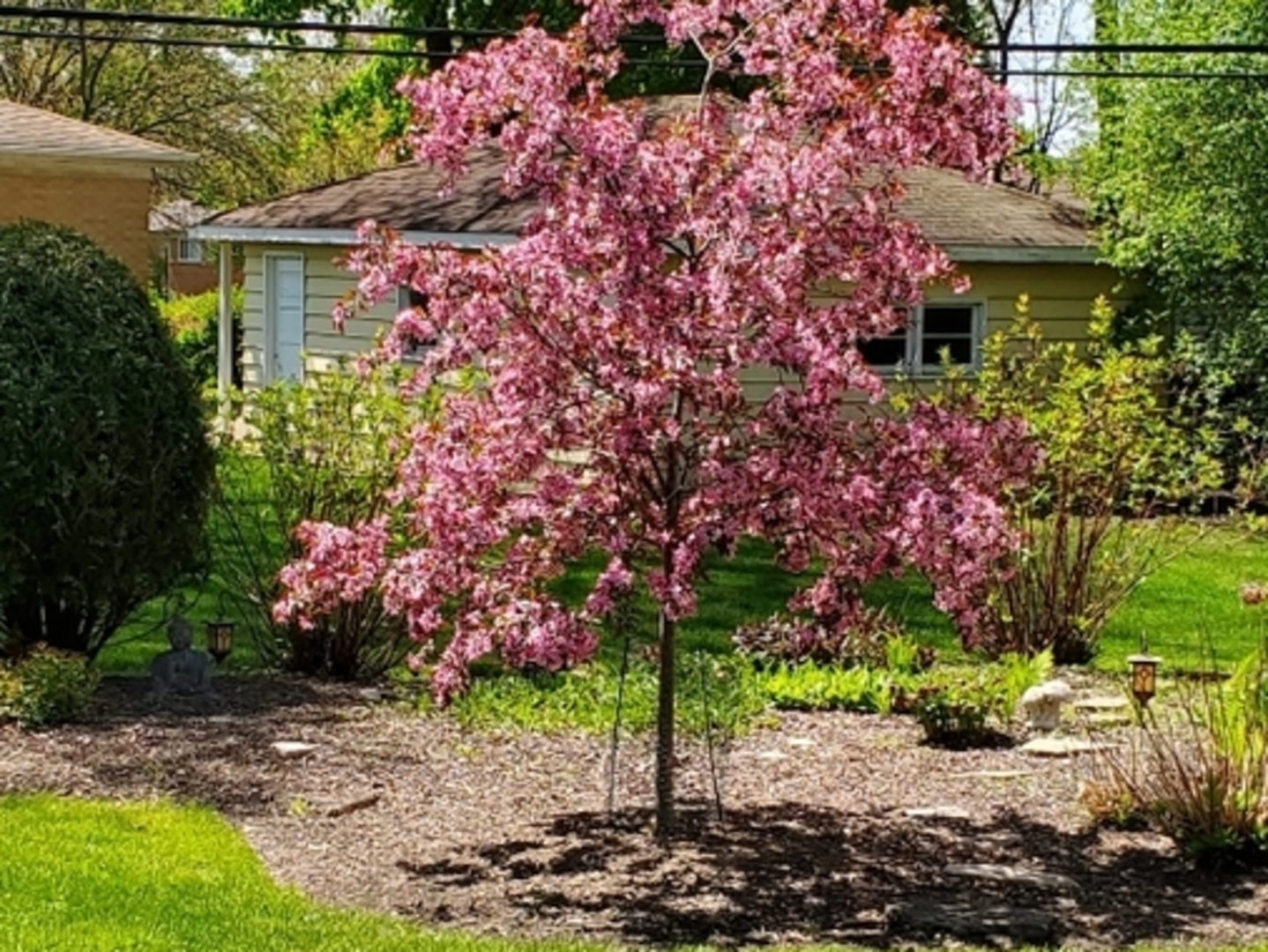 1715 Verde Court, Mount Prospect, IL 60056