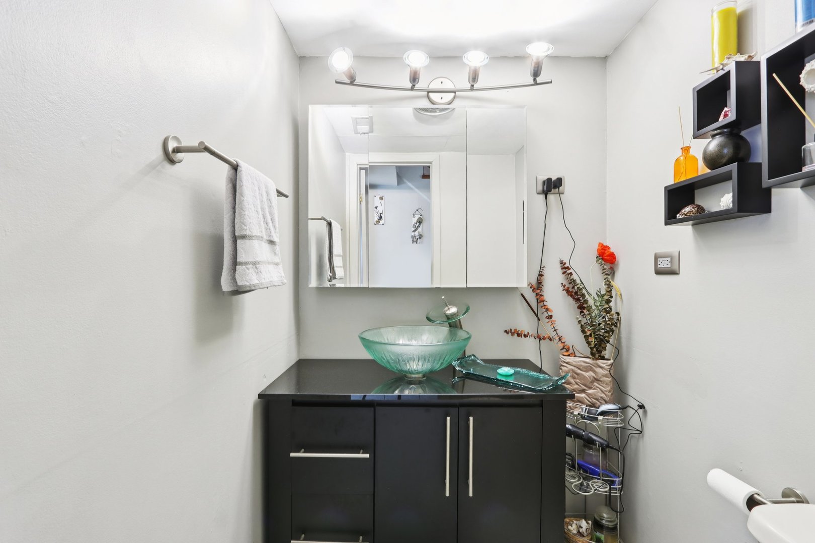 810 Silver Rock Lane, Buffalo Grove, IL 60089