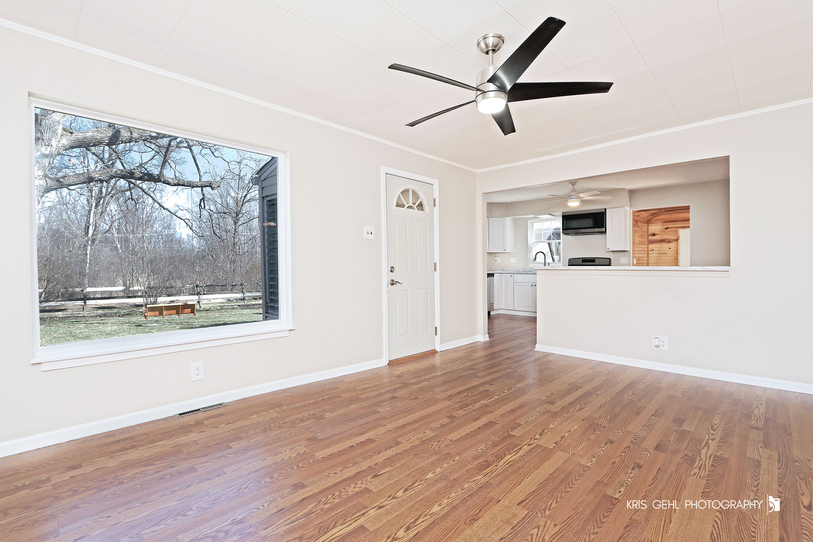 21535 W Sarah Drive, Lake Villa, IL 60046