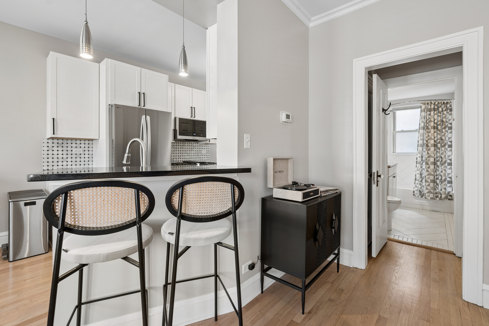 219 N Oak Park Avenue #3E, Oak Park, IL 60302