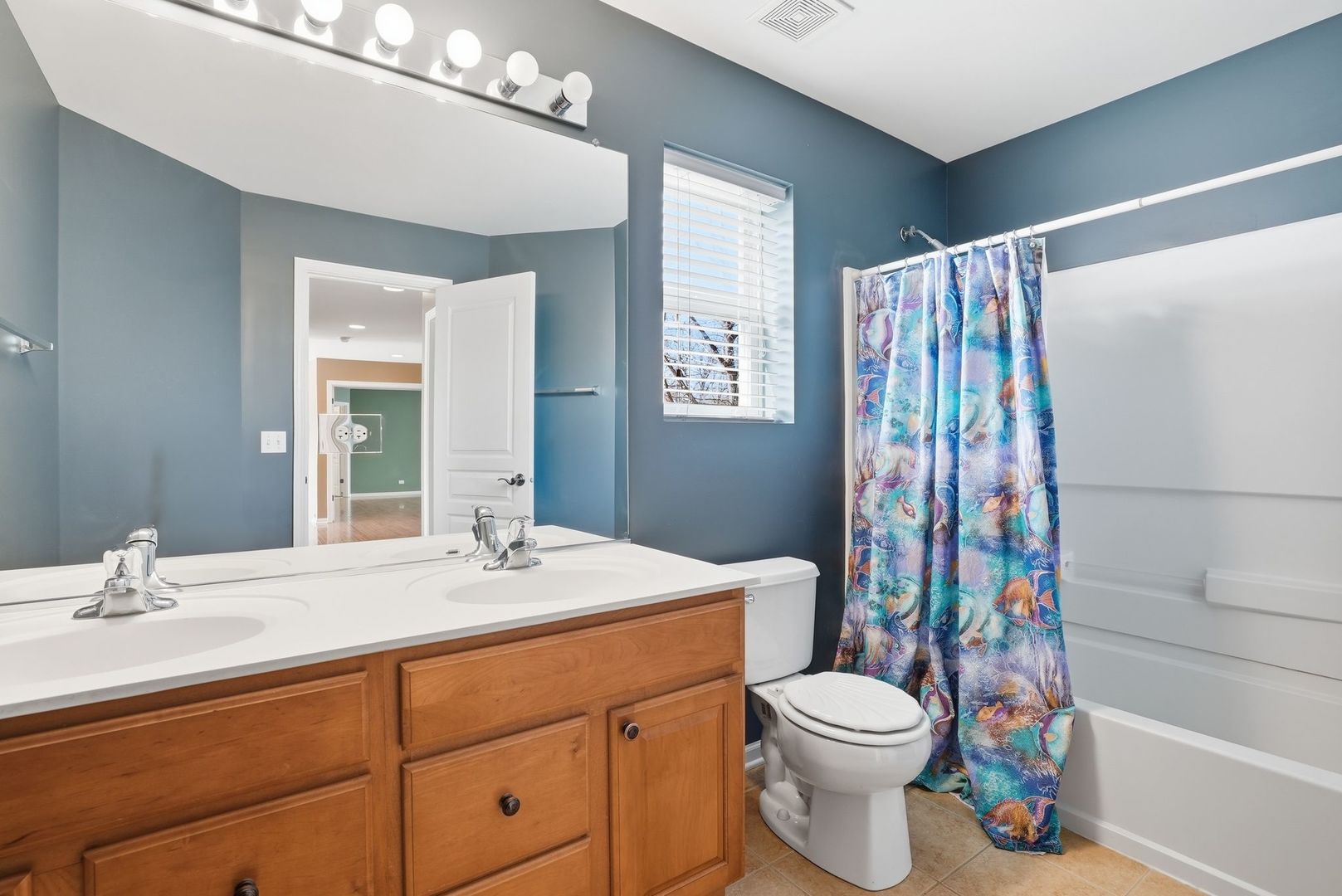 12312 BLUE IRIS Lane, Plainfield, IL 60585