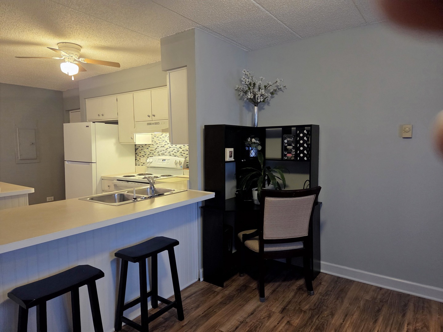 649 N Briar Hill Lane #3, Addison, IL 60101