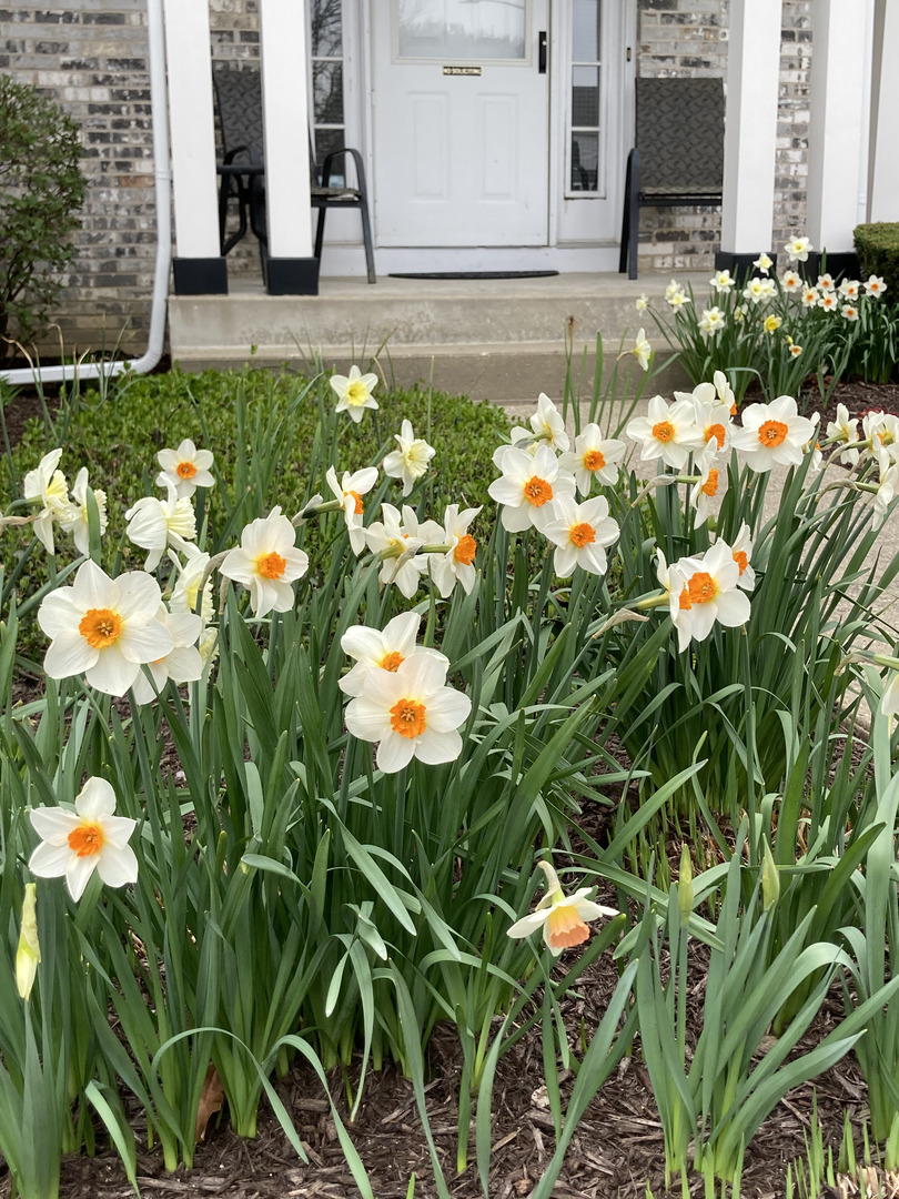 302 Chateau Drive, Buffalo Grove, IL 60089