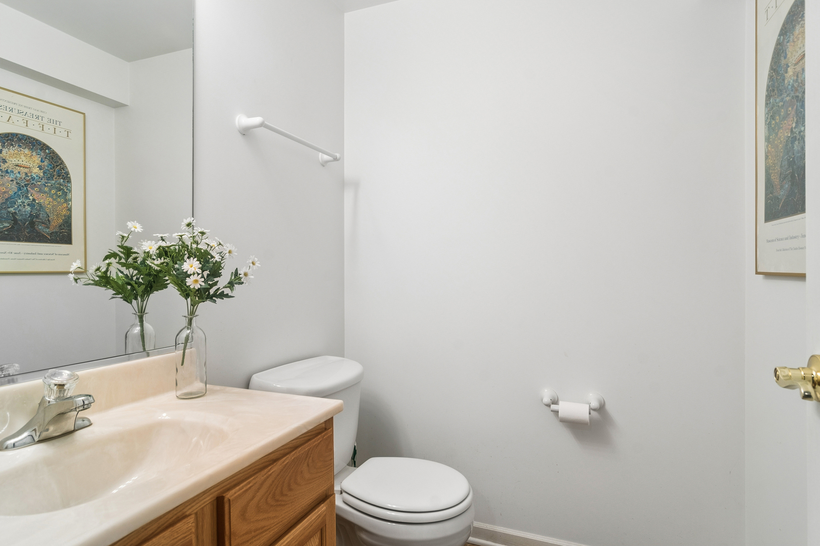 302 Chateau Drive, Buffalo Grove, IL 60089