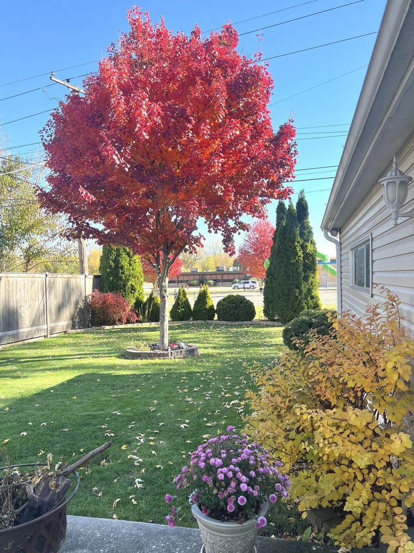 1127 LOTUS Drive, Round Lake Beach, IL 60073