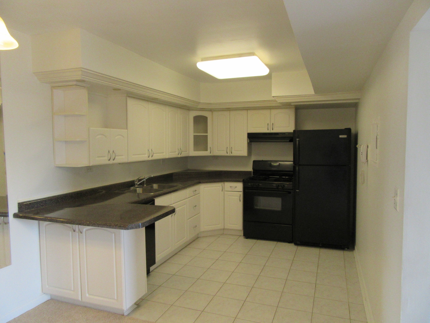 733 LIMERICK Lane #3D, Schaumburg, IL 60193