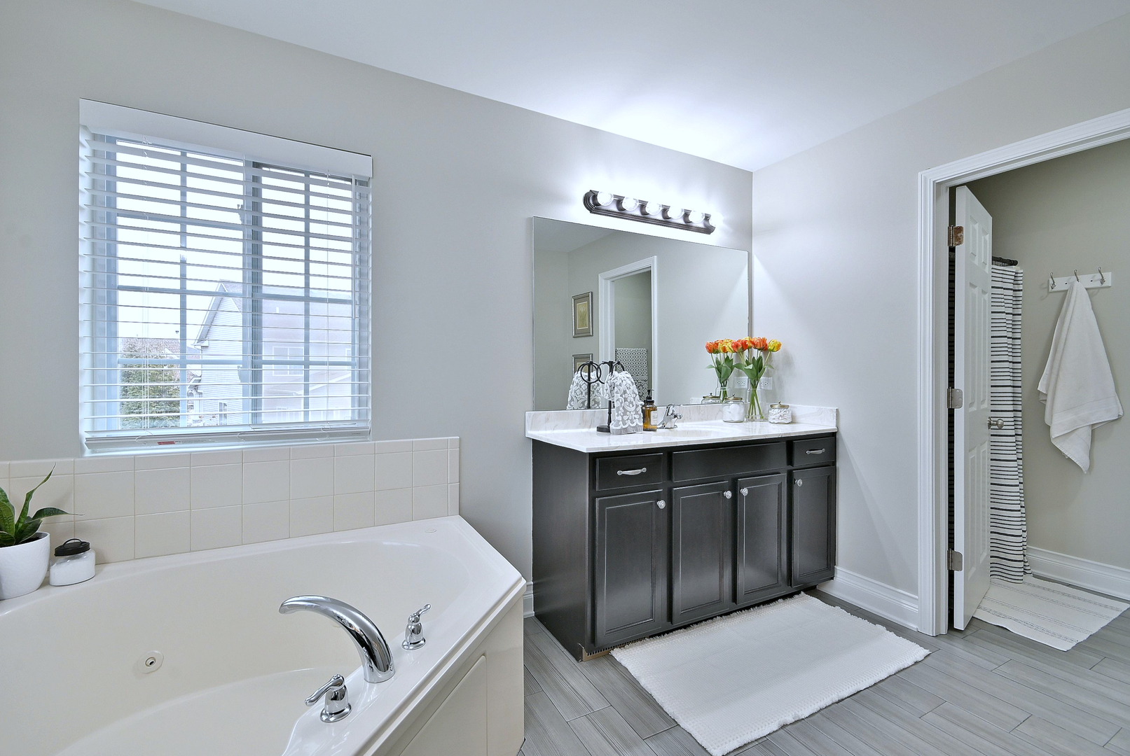 1712 Scarlett Oak Court, Plainfield, IL 60586