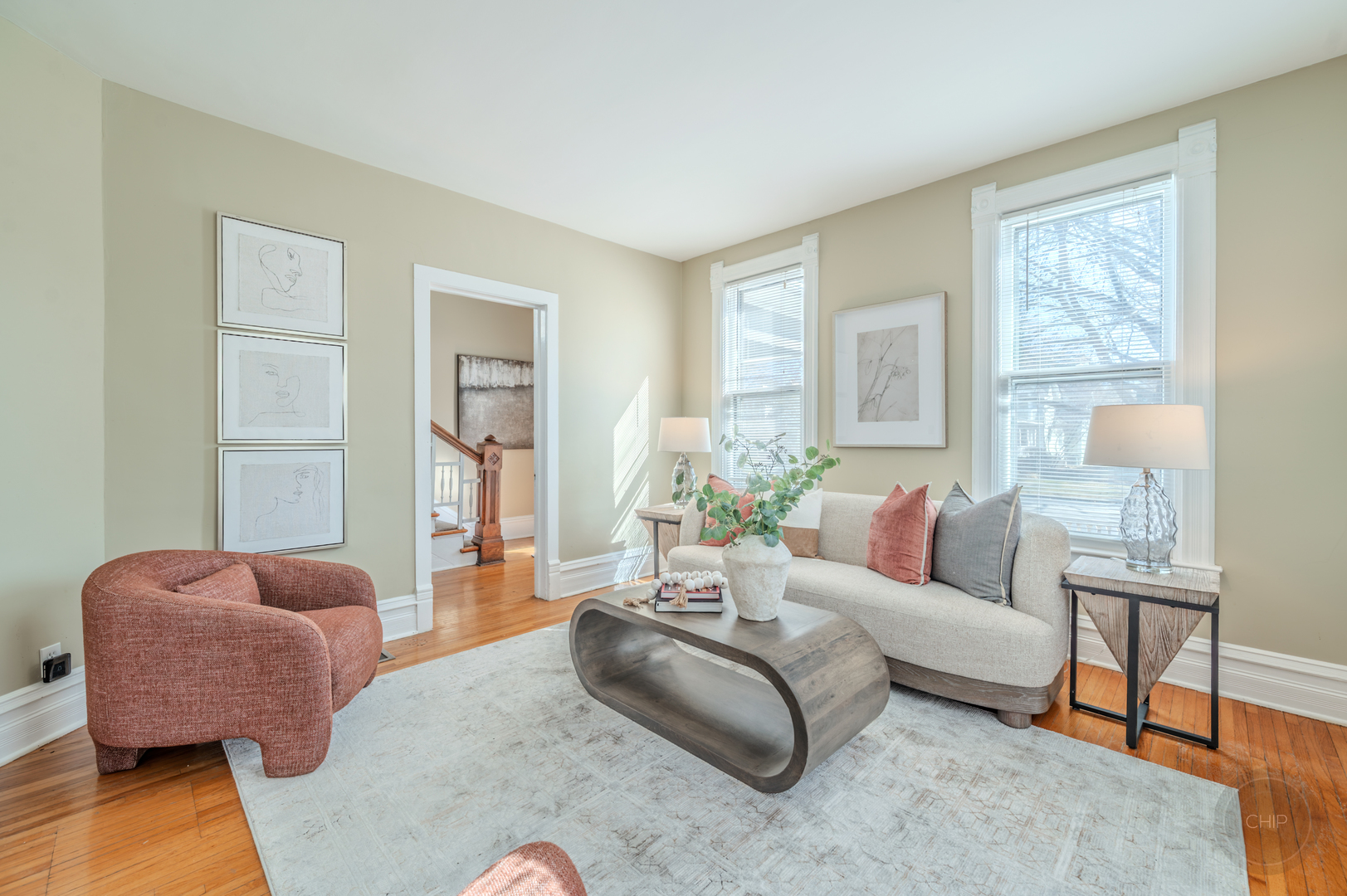 205 N Sleight Street, Naperville, IL 60540