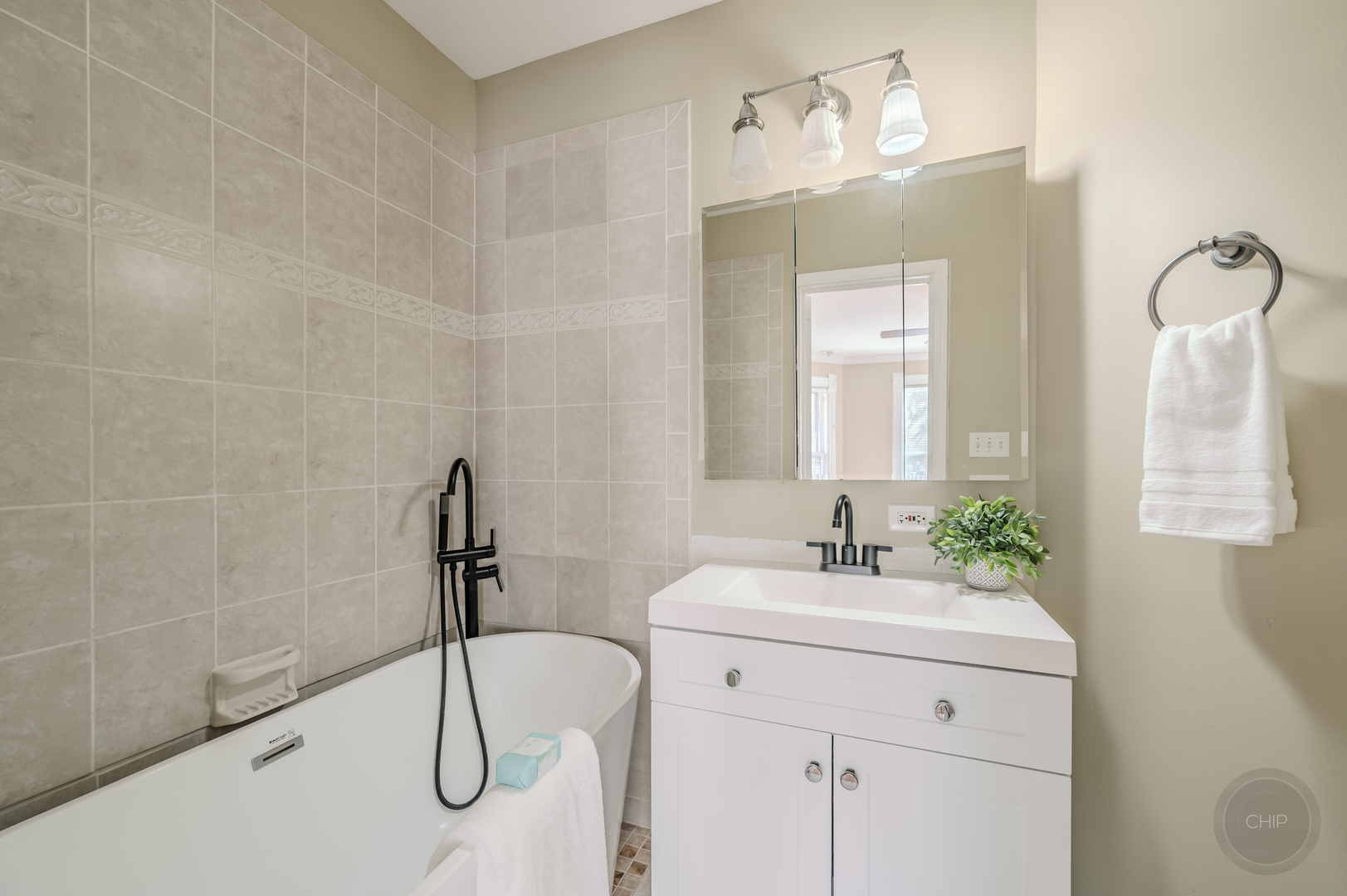 205 N Sleight Street, Naperville, IL 60540