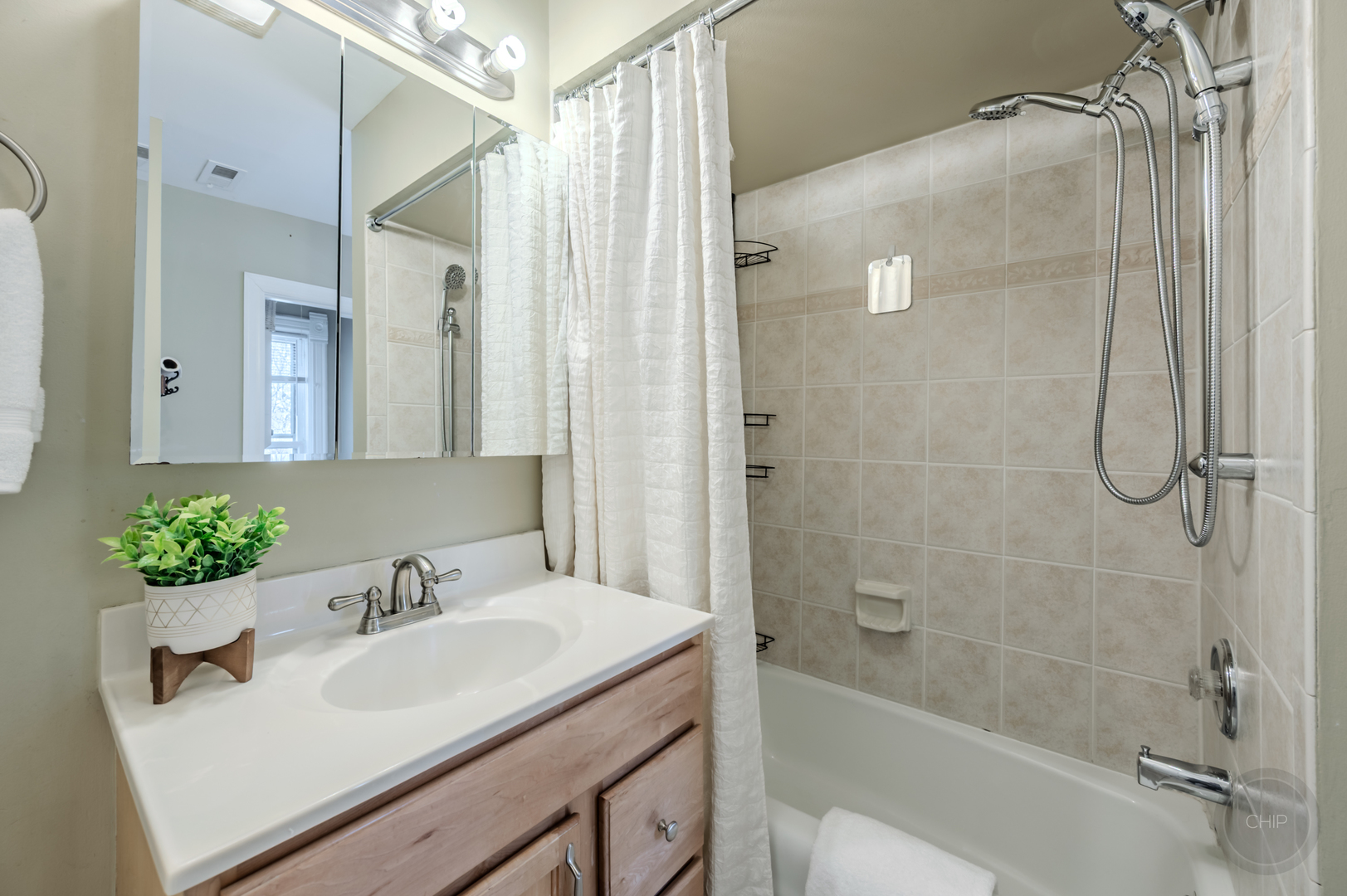 205 N Sleight Street, Naperville, IL 60540