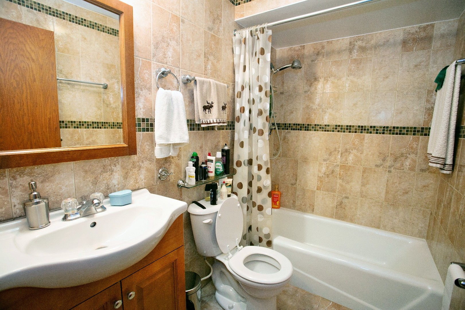 9717 S Keeler Avenue #209, Oak Lawn, IL 60453