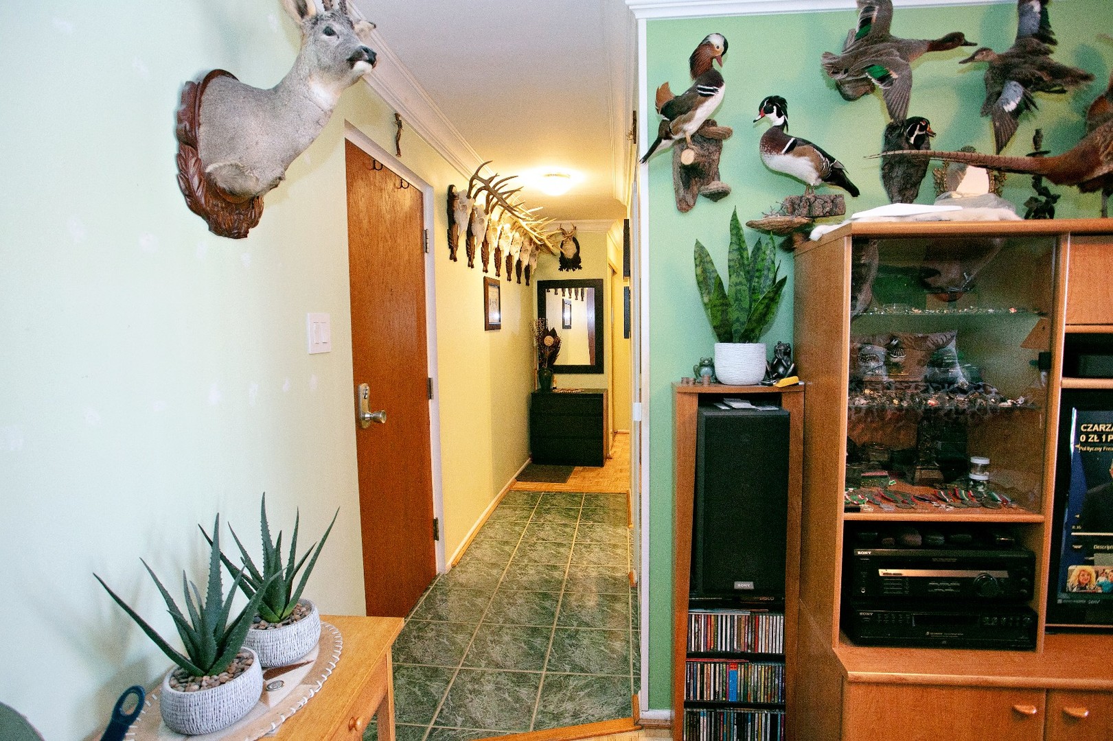 9717 S Keeler Avenue #209, Oak Lawn, IL 60453